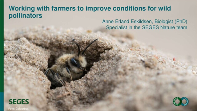 Nordic webinar 'Flowers for Pollinators' - Anne Erland Eskildsen